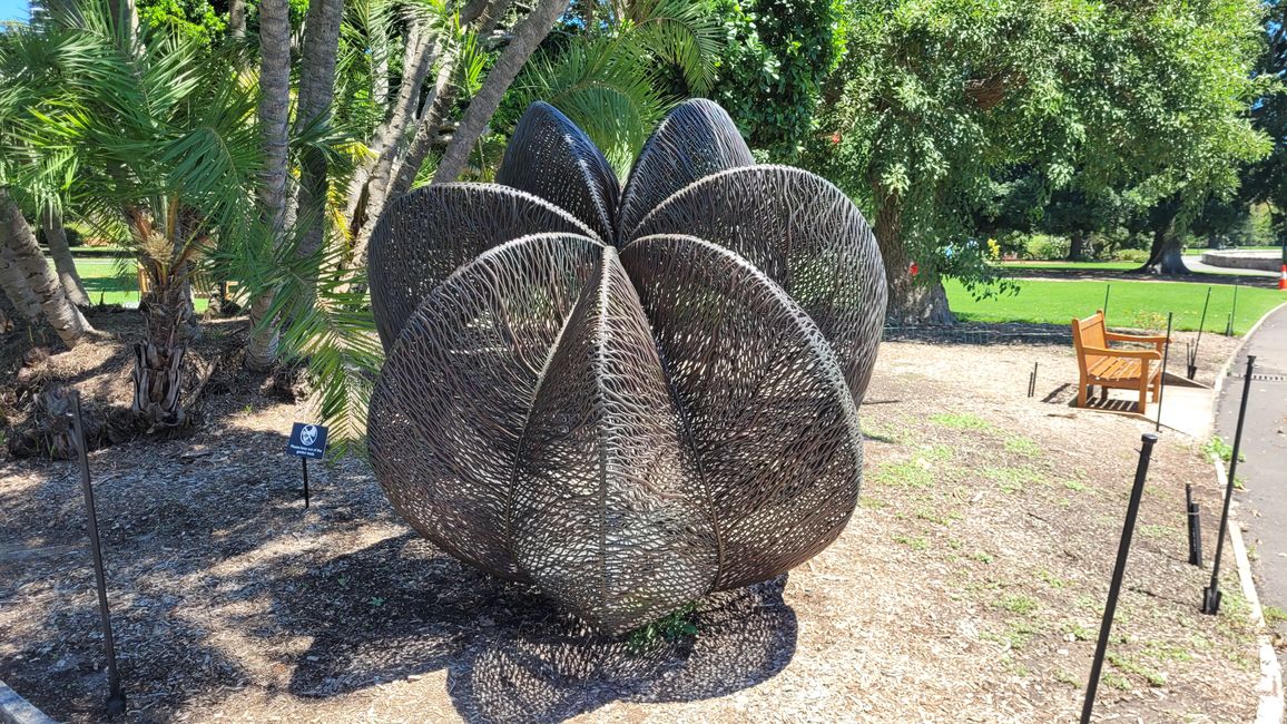 Heute königliches Programm – Royal Botanical Garden in Sydney
