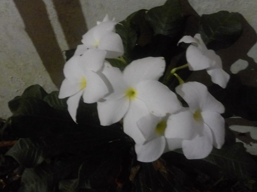 在奔赴火车站的路上