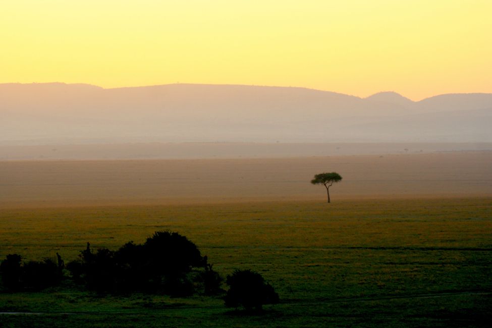 Masai Mara