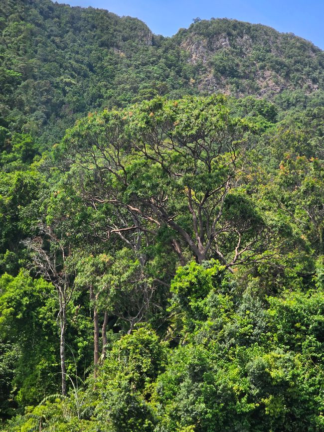 Langkawi - Reif für die Insel!