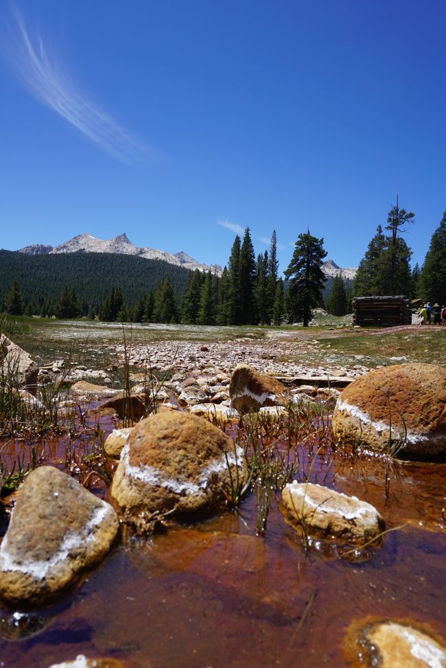Tag 7 - Erster Tag im Yosemite Nationalpark 🥾🌲