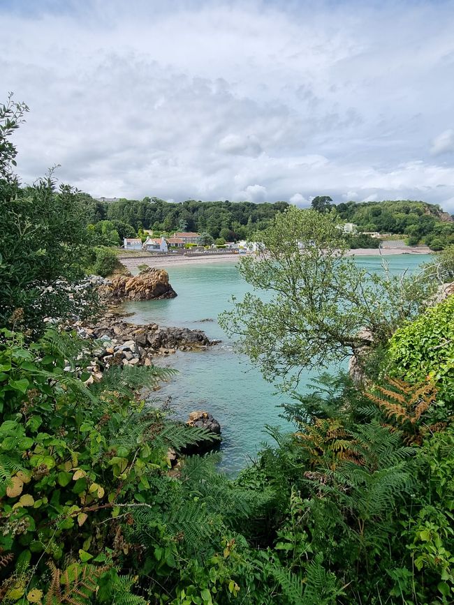 Magnifique Gorey 🥟🍦