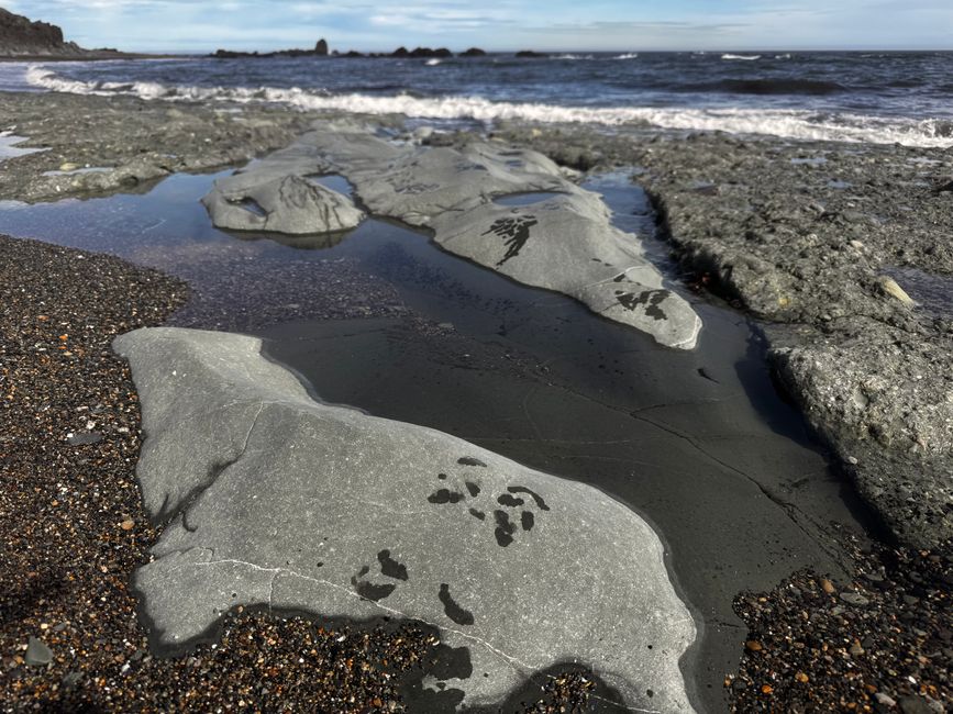 ...oggi ci dirigiamo verso sud verso Stokksnes e...