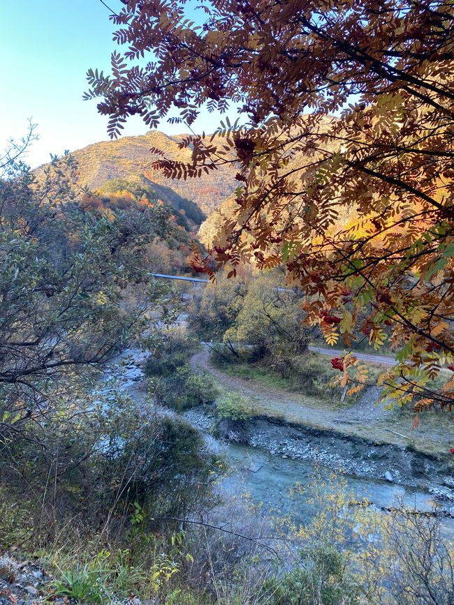 Arrowtown, Queenstown