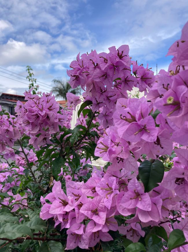 Der Radius erweitert sich langsam