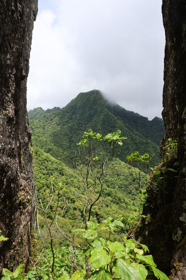 Rarotonga - Caminata cruzada por la isla