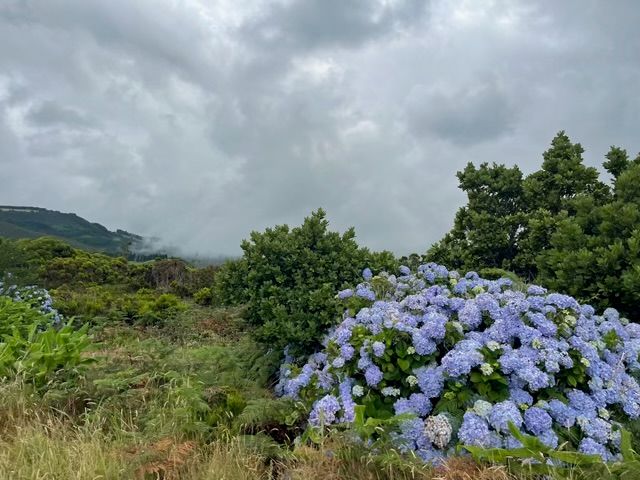 Weather Change