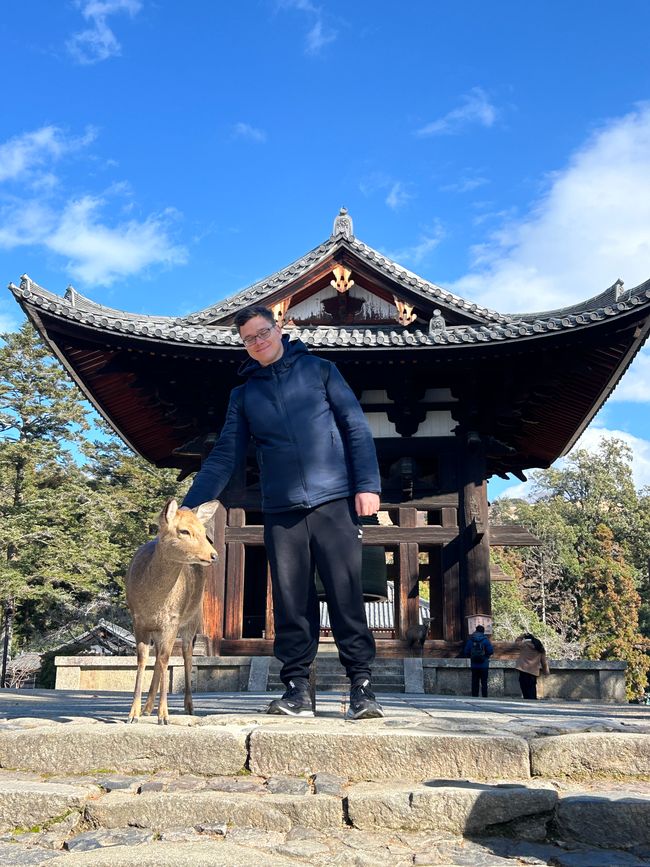 Nara - Tag 10