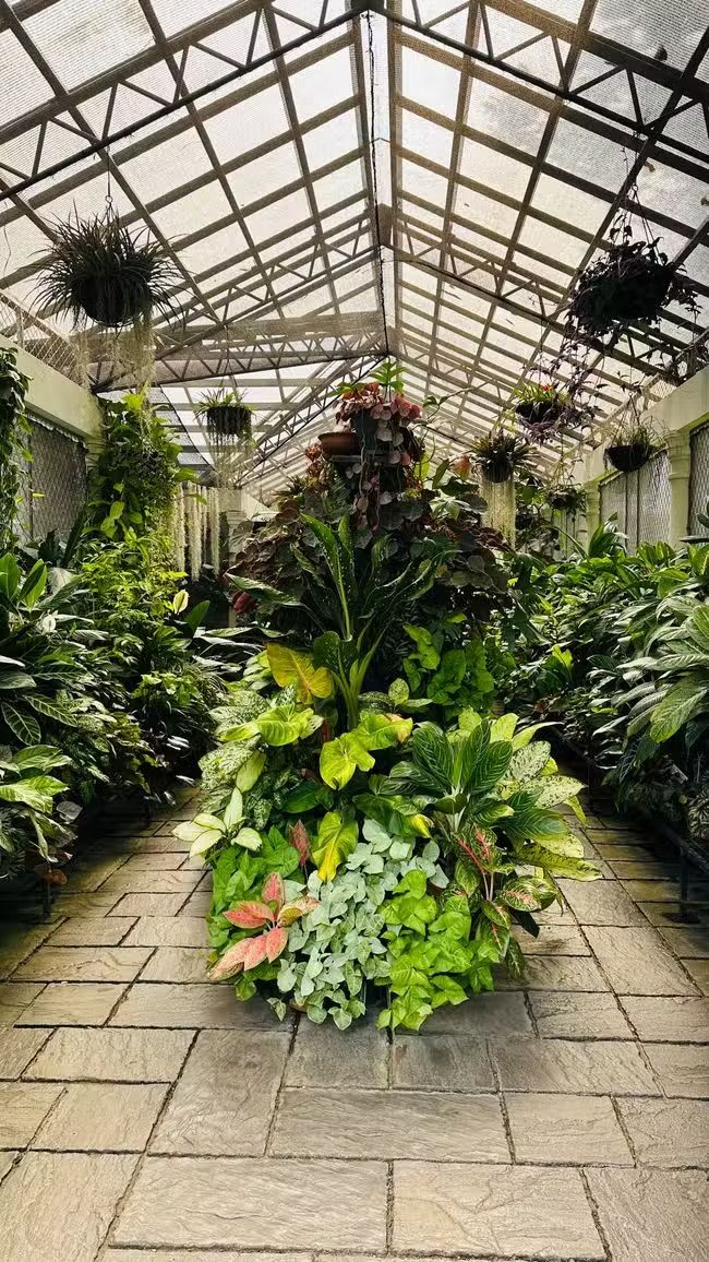 Giardini botanici reali di Peradeniya