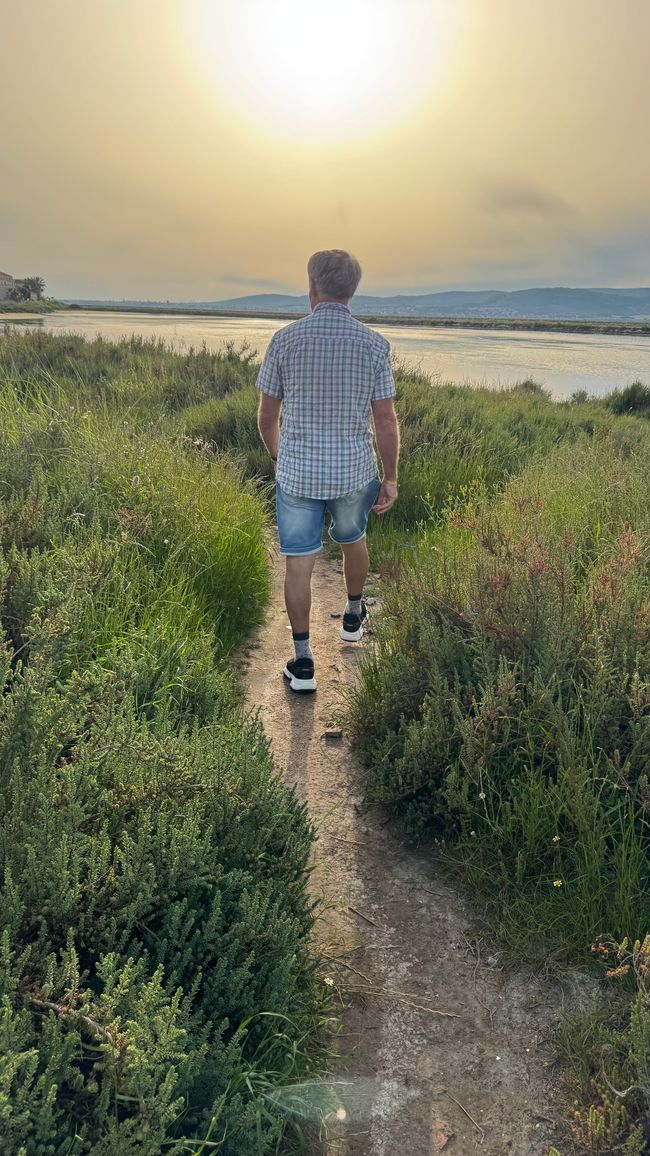 Wanderweg im Naturschutzgebiet