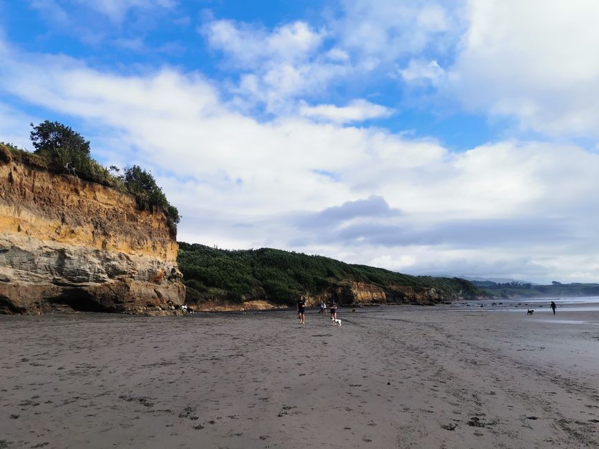 Back Beach in New Plymouth