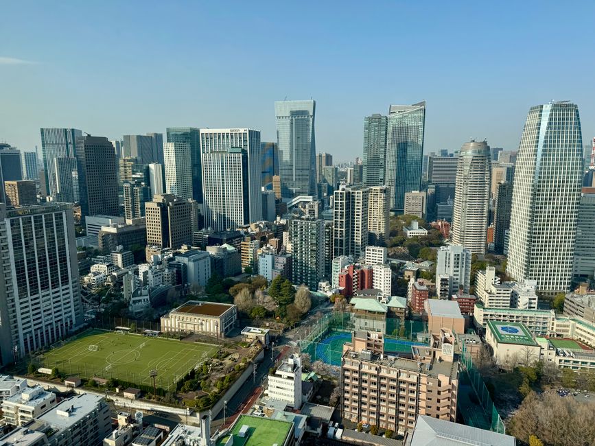 Parte 7
BENVENUTO IN GIAPPONE 🇯🇵
TOKYO