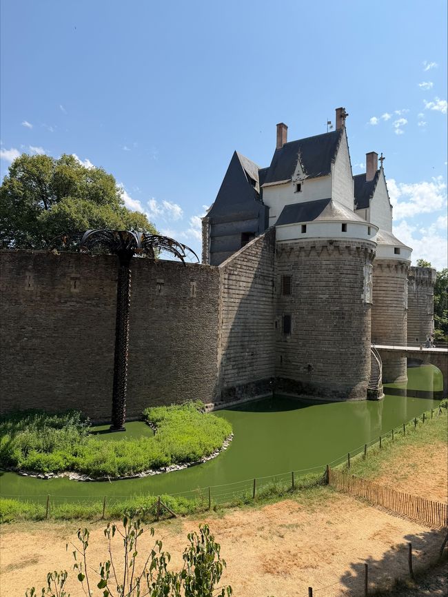 Nantes 13-14 luglio
