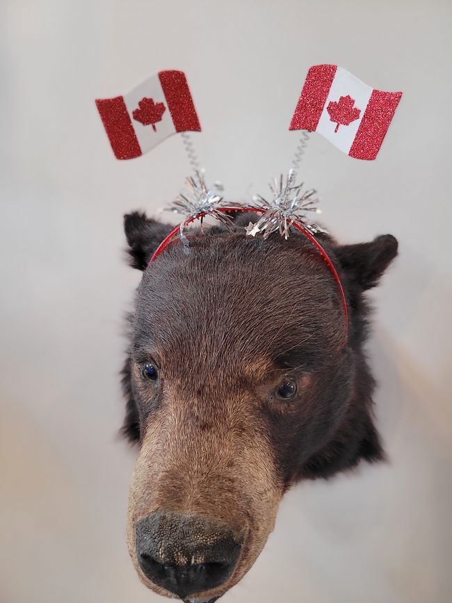 Geschmückt für den Canada Day am 1. Juli
