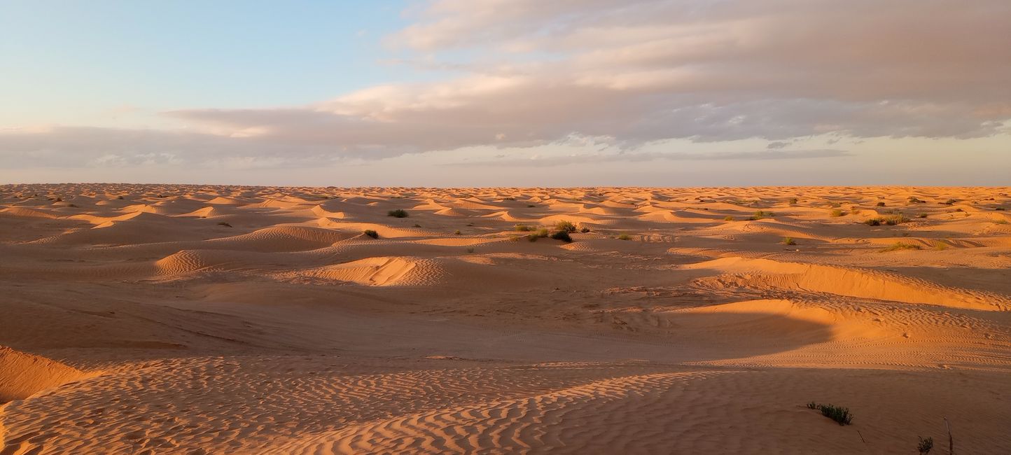 Die Reise in den Sand...