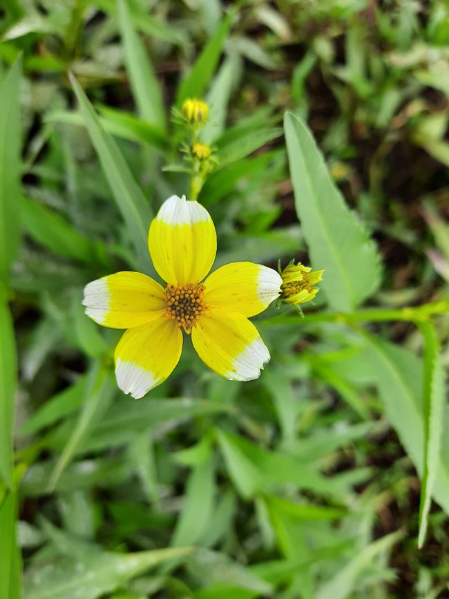 6. Etappe: Küste, Wiesen und Wälder