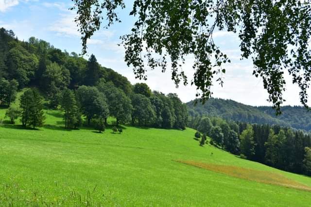 * * * Wacholderhain und Felsgesicht: eine Wanderung in der wilden Schönheit des Lochenpasses * * *