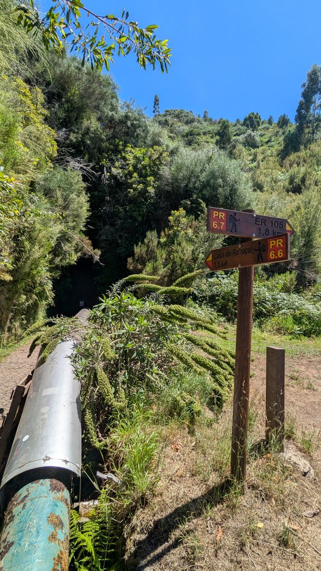 Tag 10: Levada das 25 Fontes und Risco & Feenwald
