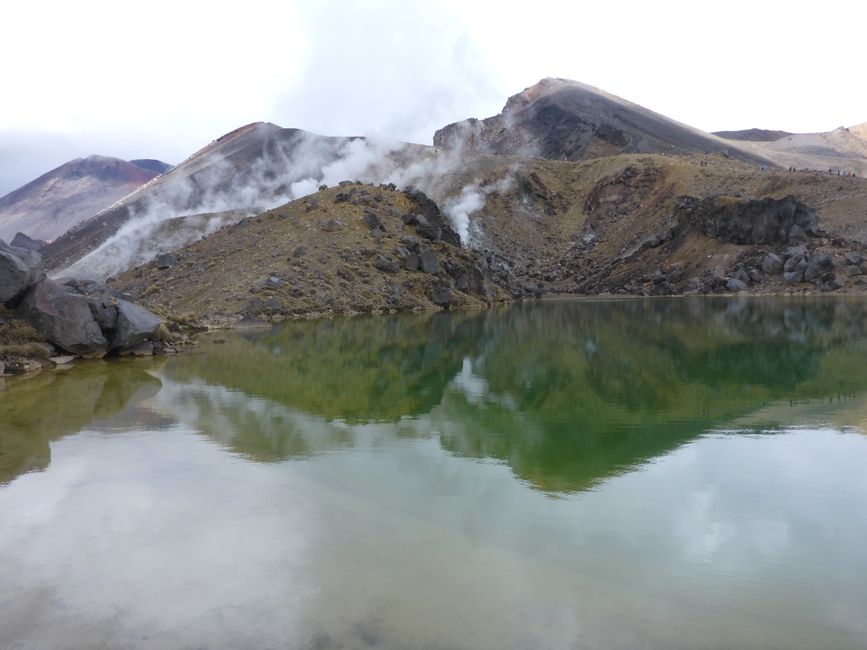 2025-03-29 Tongariro, Timber Trail and ...