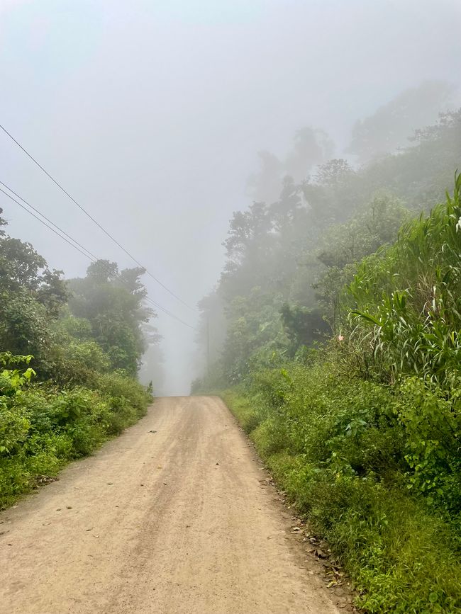 sobald die Sonne weg ist, versinkt alles im Nebel