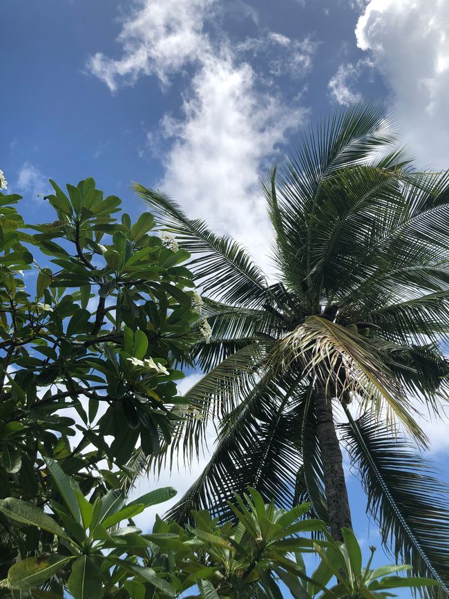 Fidschi - BULA BULA