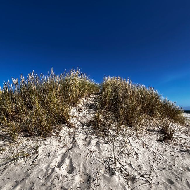 Ankunft in Hirtshals