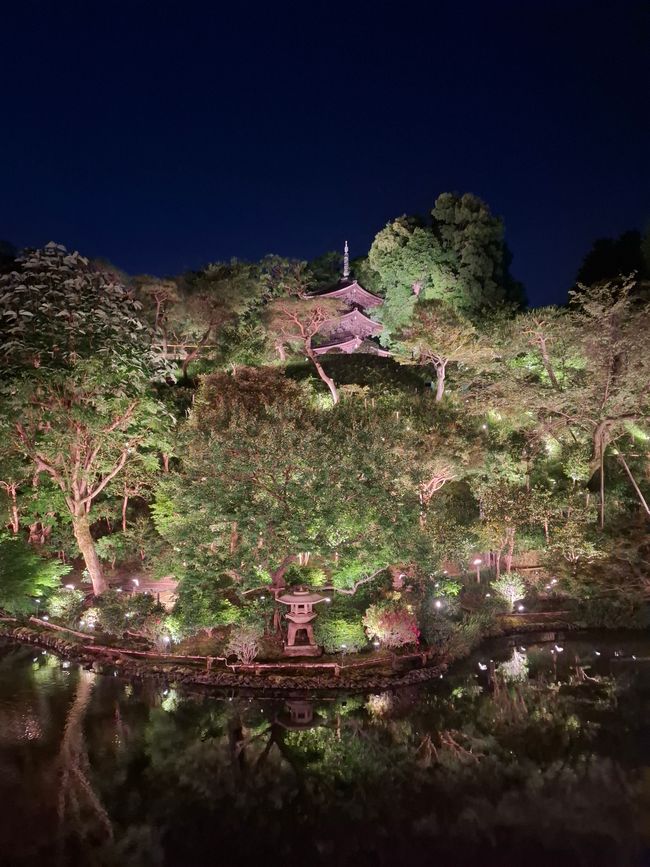Beautiful Tokyo