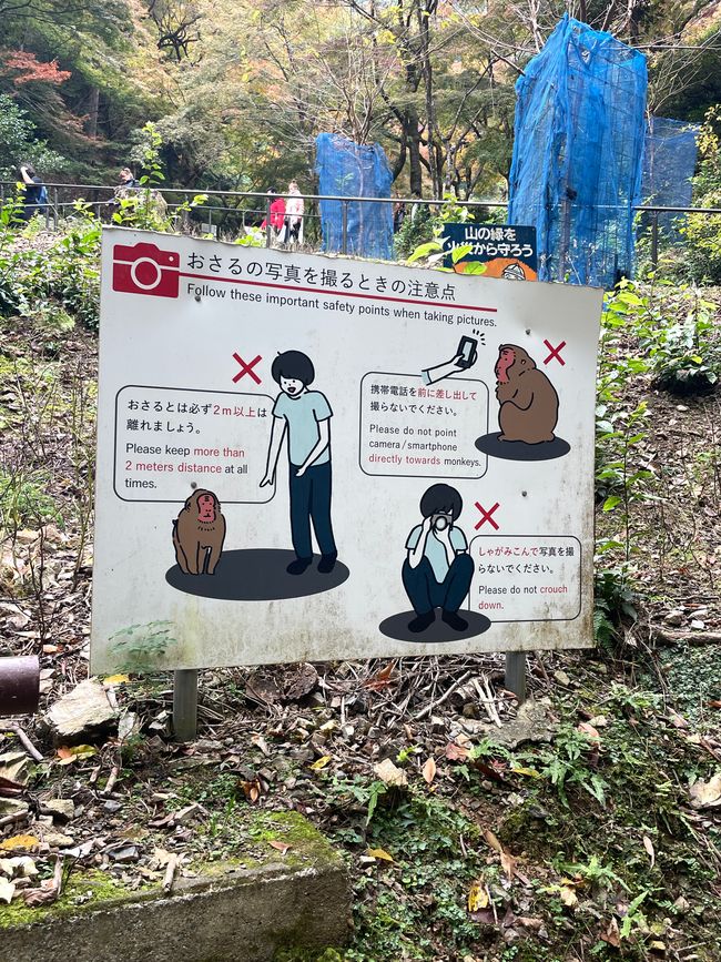 23.Kapitel: Arashiyama oder ein Tag von vorne bis hinten gelungen