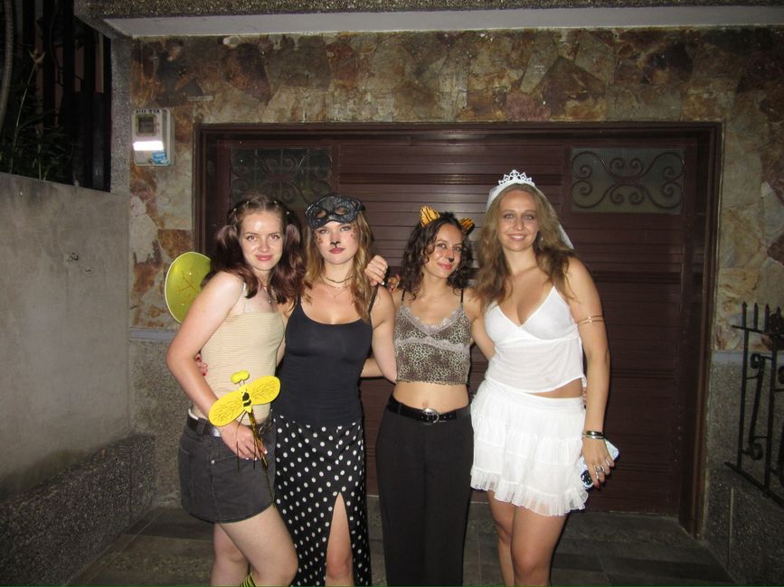 Medellín- die Stadt, in der alles erblüht?