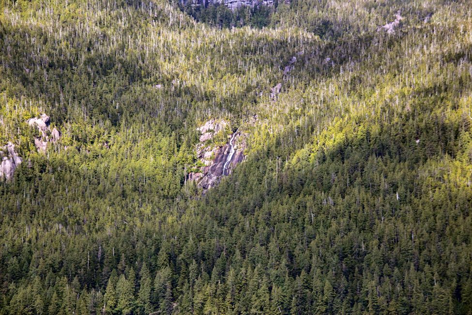 Etiqueta 13: Port Hardy - PASAJE INTERIOR - Prince Rupert