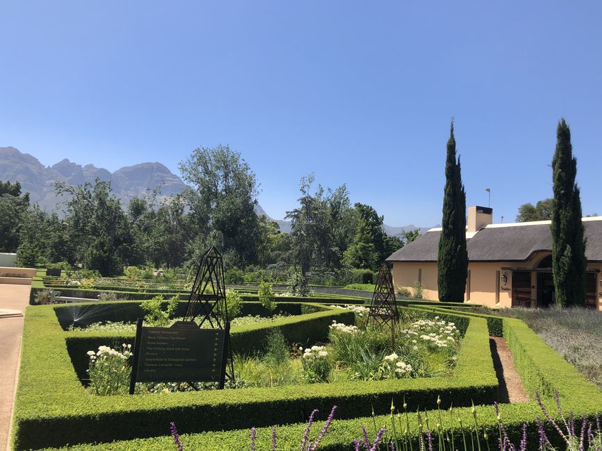 Vergelegen Wine Estate