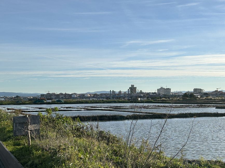 Blick über die Salinario auf Aveiro