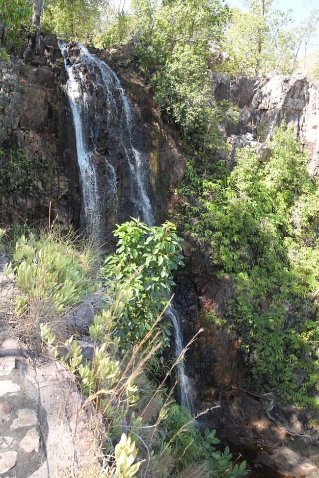 Litchfield NP - Tjaetaba Falls