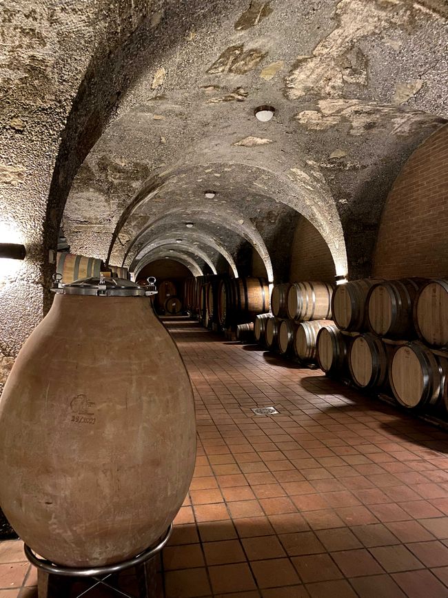 Tuscany Tour - Stop 3: Wine Tasting in Montalcino