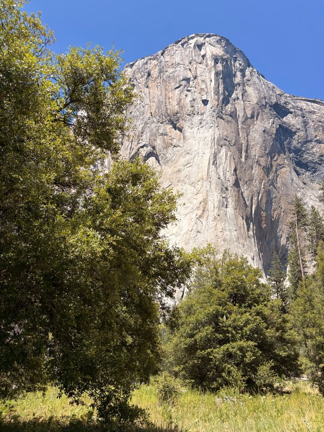 Yosemite National Park