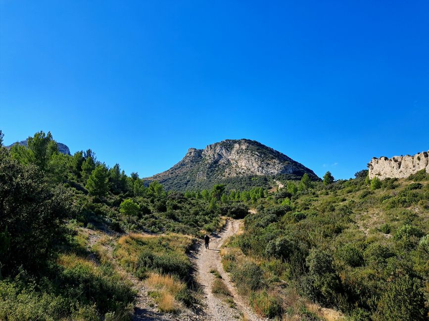 The Flavors of the Alpilles