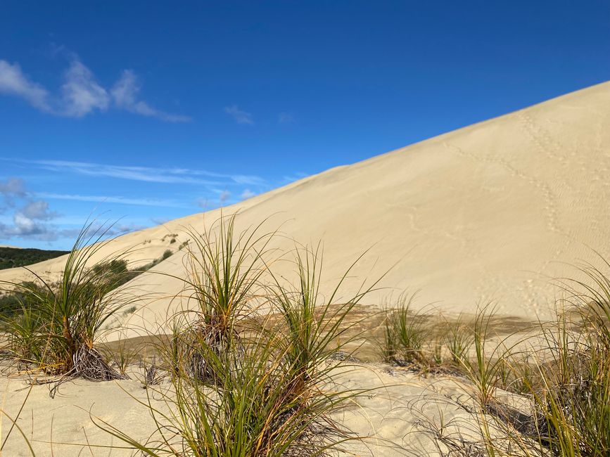 At the End of the World