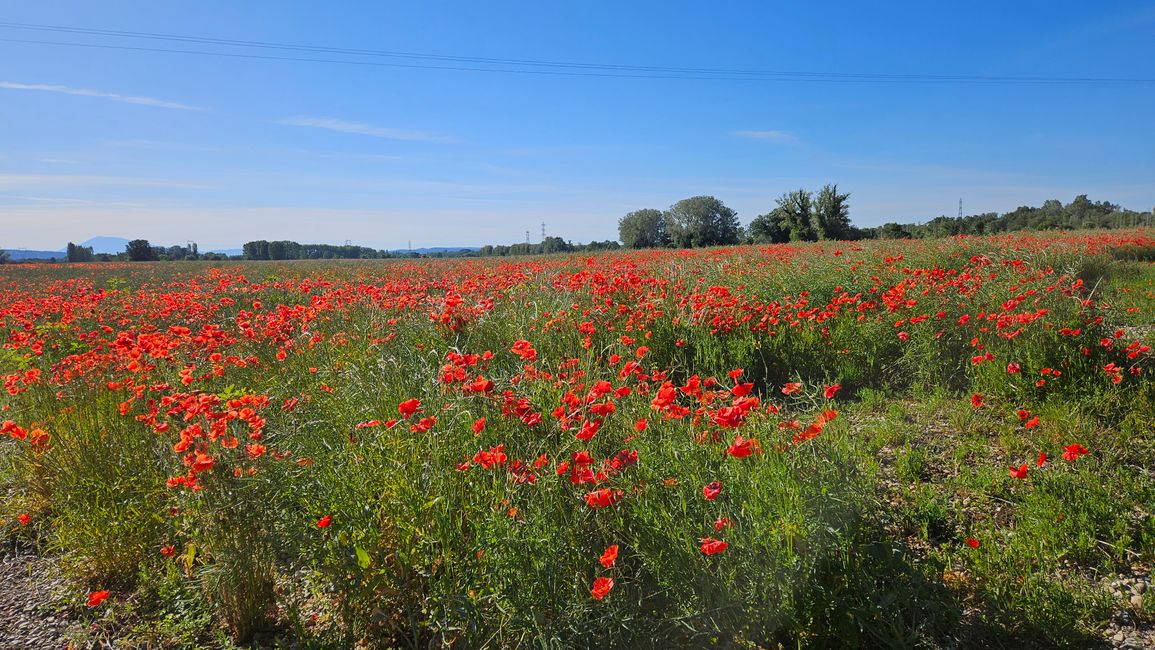Radeln bei mediterranem Wetter