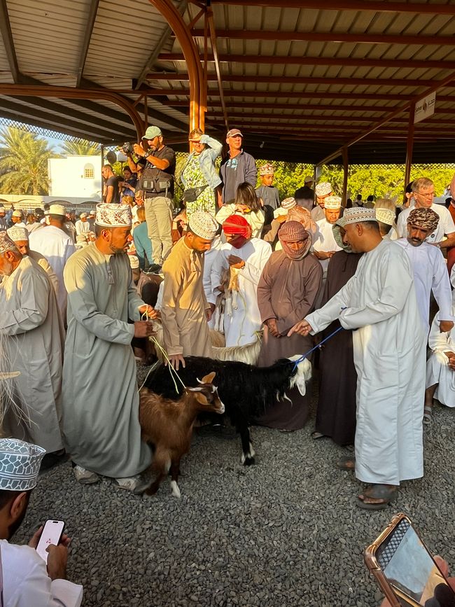 Nizwa