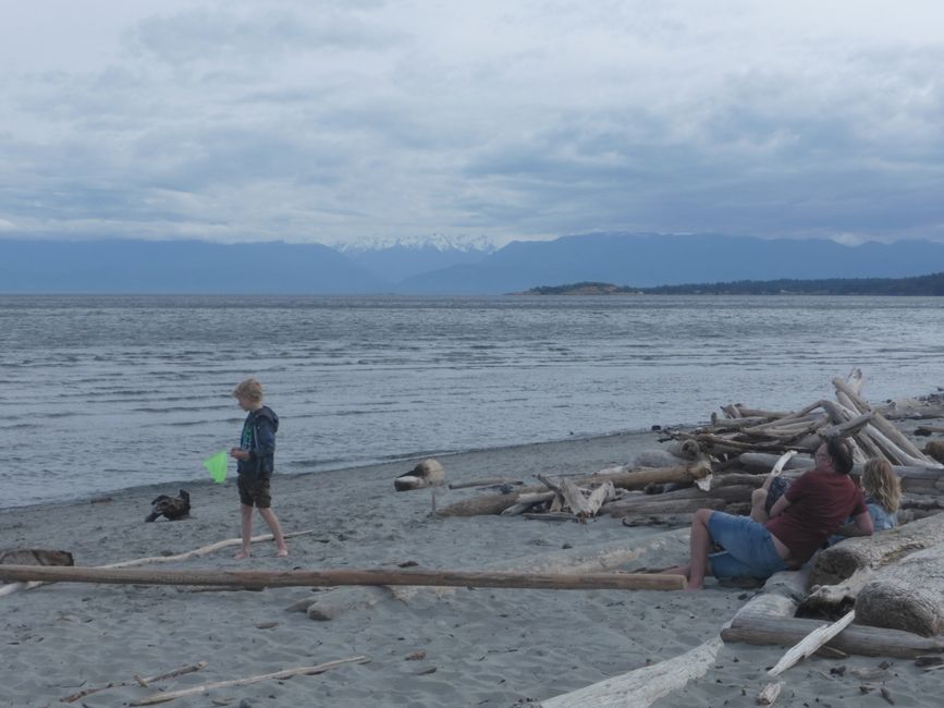 2025-05-21 Vancouver Island Wwoof