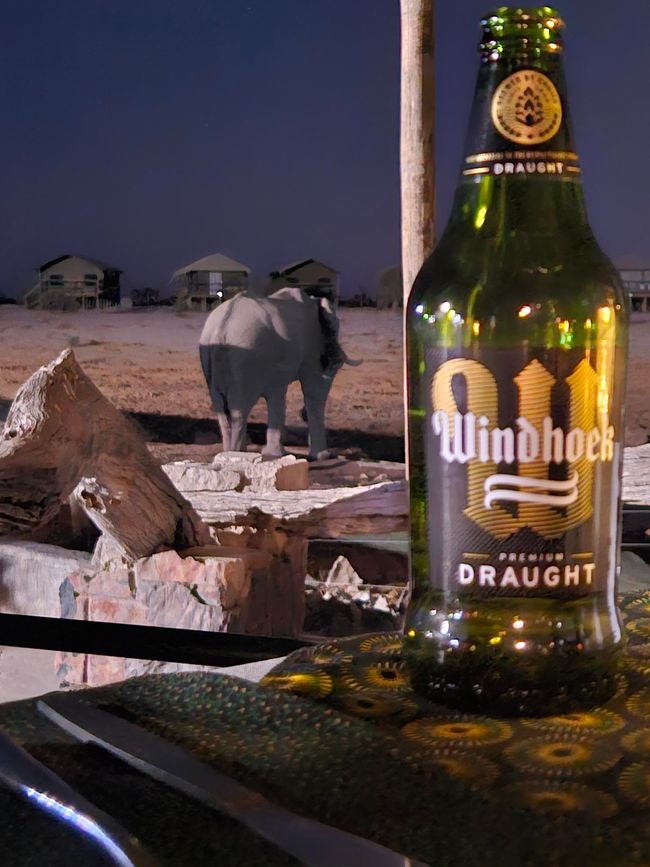 Elephant Sands: Stop-over auf dem Weg ins Okavangodelta