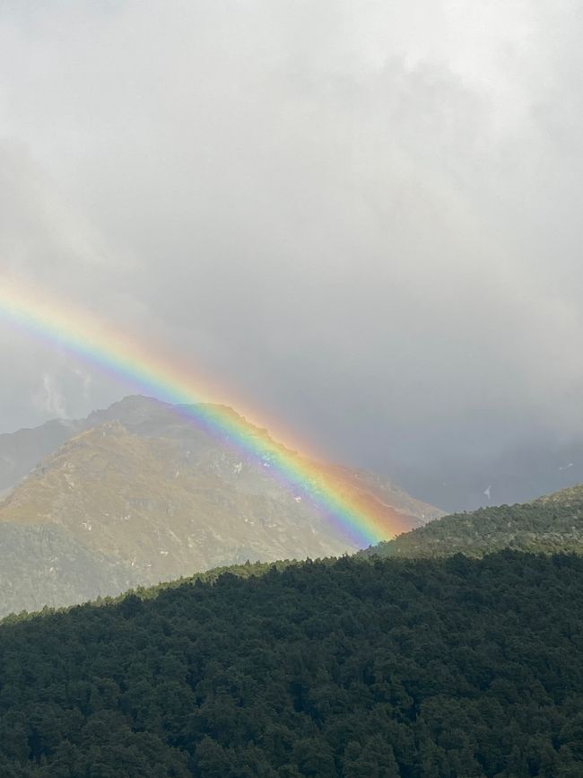 Durch den Regen