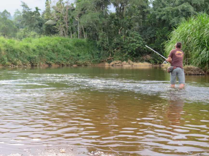 Sinharaja - l'ultima foresta pluviale dello Sri Lanka