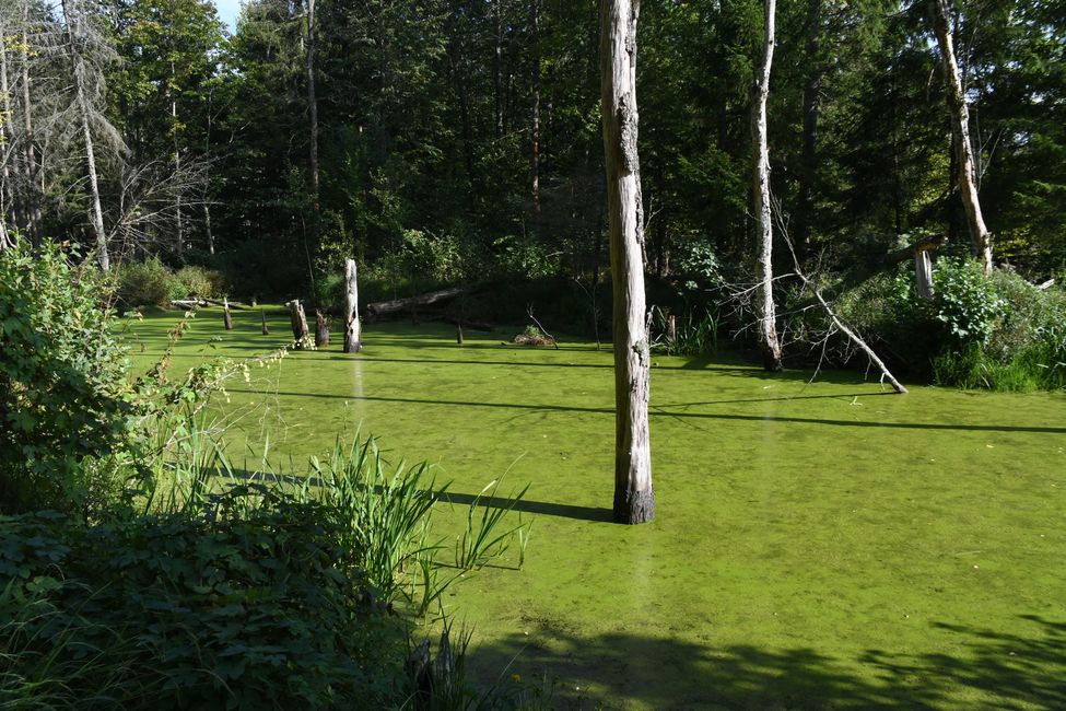 Viaggio in Masuria ad agosto 2024