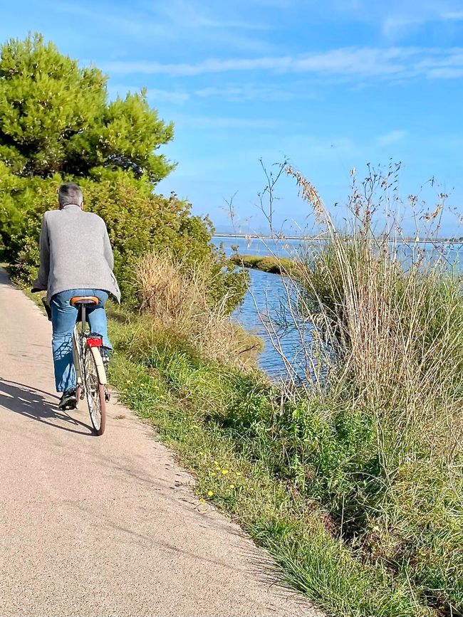 Dier Hinfahrt ging auf einem Fahrradweg direkt am Meer entlang.