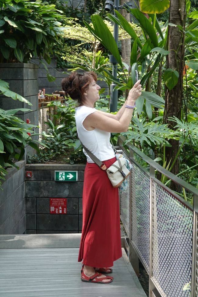 Jewel in Singapore .... what is that?