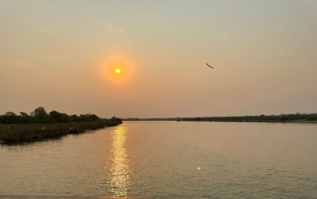 Along the Okavango