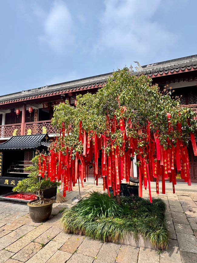 Part 5 SHANGHAI