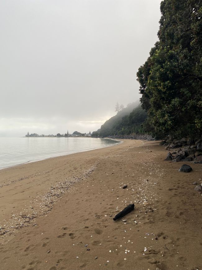 Coromandel loop