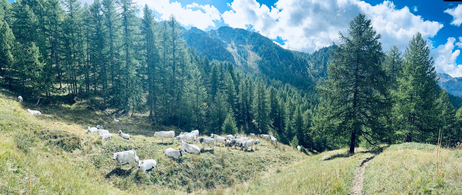 Plaisir pur dans la vallée Maira